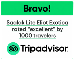 TripAdvisor Reward